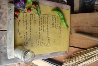 /album/foto-gallery/dsc-0123-jpg/