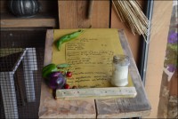 /album/foto-gallery/dsc-0116-jpg/