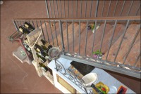 /album/foto-gallery/dsc-0110-jpg/