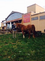 /album/galleria-foto-la-storia/a11116261-1654970534732382-1811460096516150364-o-jpg1/